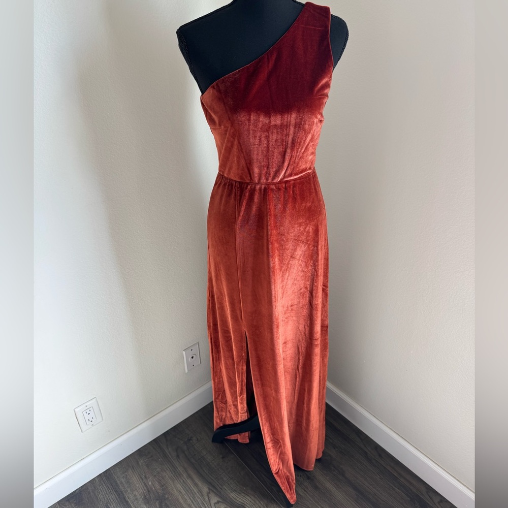 Elegant Baltic Born Velvet One-Shoulder Dress in Rust